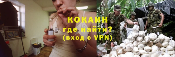 альфа пвп Заводоуковск